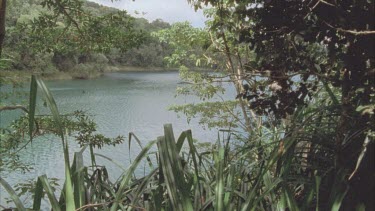 view of Lake Eacham through pandanas plants