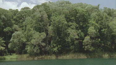 pan down from trees to Lake Eacham, very clear water.