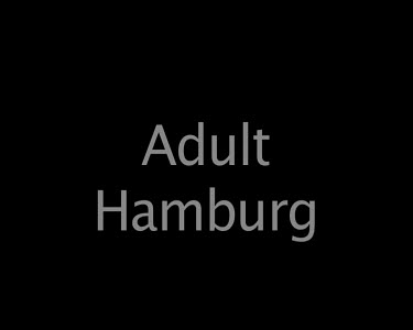 Adult Hamburg