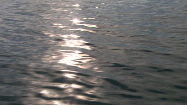 Movement in the water surface.