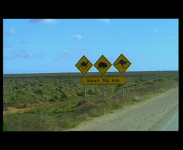 Road sign for camels wombats and kangaroos