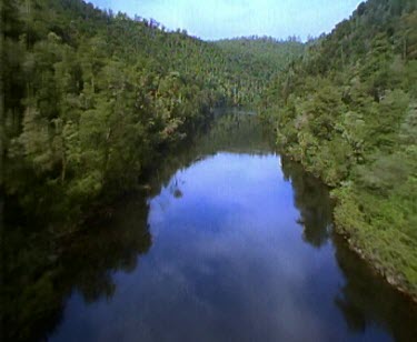 Franklin River and forest
