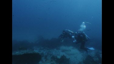 Valerie underwater Merimbula wreck