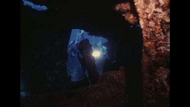 Valerie and various fish swim around Merimbula wreck