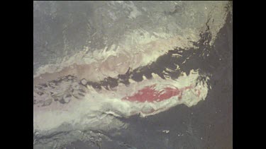 Dead sperm whale. Just below surface.
