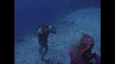 Valerie and Ron shooting, two sharks squabbling for food