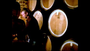 Vintner checks wine fermenting in barrels. Wine cask inspection.