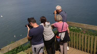 Bird Watches On Viewing Platform, Rspb Bempton Cliffs, England