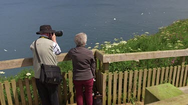 Bird Watches On Viewing Platform, Rspb Bempton Cliffs, England