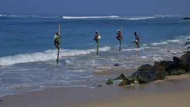 Stilt Fishermen & Model In Bikini, Midigama, Sri Lanka