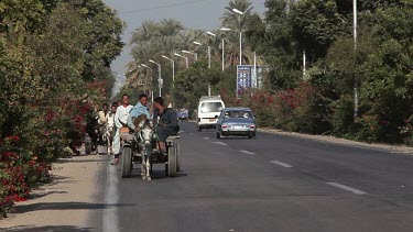 Young Men On Donkeys & Carts, River Nile, Luxor, Egypt