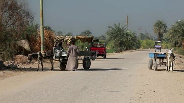 2 Egyptians With Donkeys & Carts, Luxor, Egypt