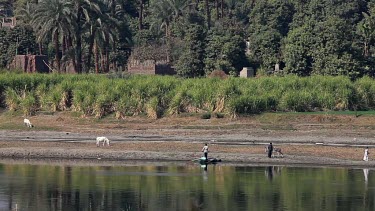 Men With Rowing Boat & Donkey, River Nile, Luxor, Egypt