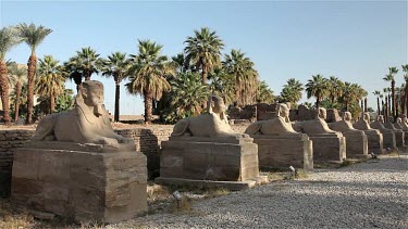 The Avenue Of Sphinxes, Luxor Temple , Egypt, North Africa