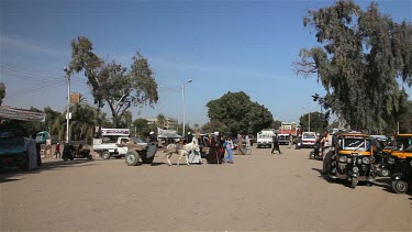 Donkey, Cart & People Cross Road, Nagaa El-Shaikh Abou Azouz, Egypt
