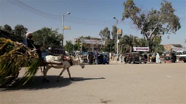 Busy Road Crossing, Nagaa El-Shaikh Abou Azouz, Egypt