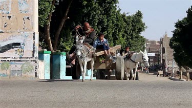 Donkeys & Carts Cross Road, Nagaa El-Shaikh Abou Azouz, Egypt