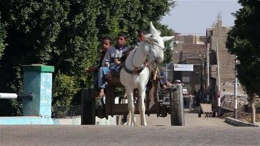 Donkey & Cart Cross Road, Nagaa El-Shaikh Abou Azouz, Egypt