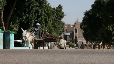 White Donkey & Cart Cross Road, Nagaa El-Shaikh Abou Azouz, Egypt