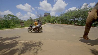 Elephant Ride & Lion Rock, Sigiriya, Sri Lanka