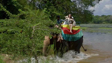 Elephant Leaves Lake, Sigiriya, Sri Lanka